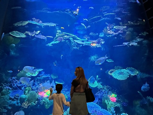 SEA LIFE Bangkok Ocean World
