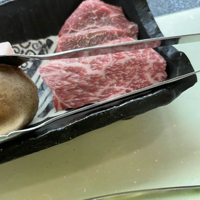 【ペットと泊まれる宿】松阪わんわんパラダイスで過ごす休日！