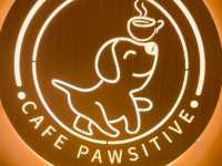 【西貢新開打卡cafe🍵~Cafe Pawsitive🐶】