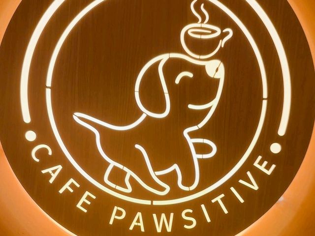 【西貢新開打卡cafe🍵~Cafe Pawsitive🐶】