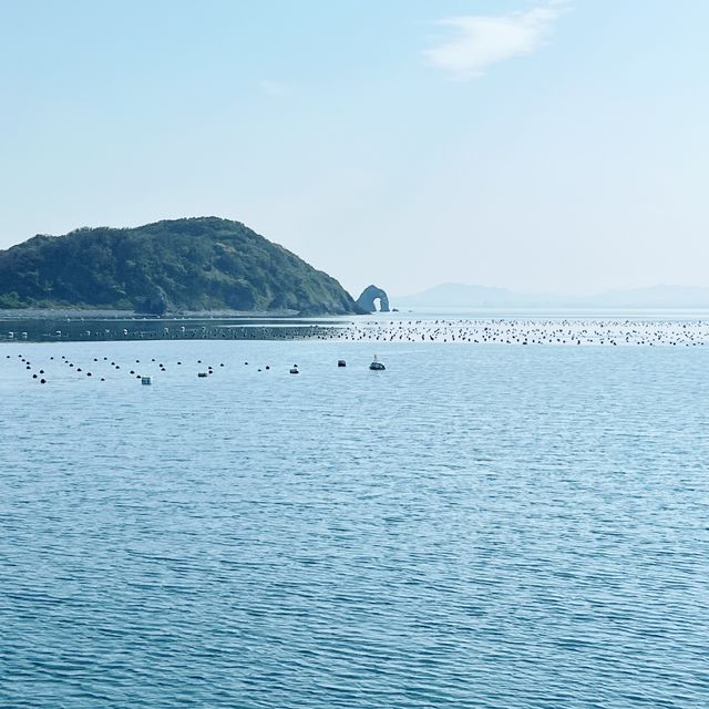 『 🐈藍　相島（あいのしま）🚢  』IN福岡県