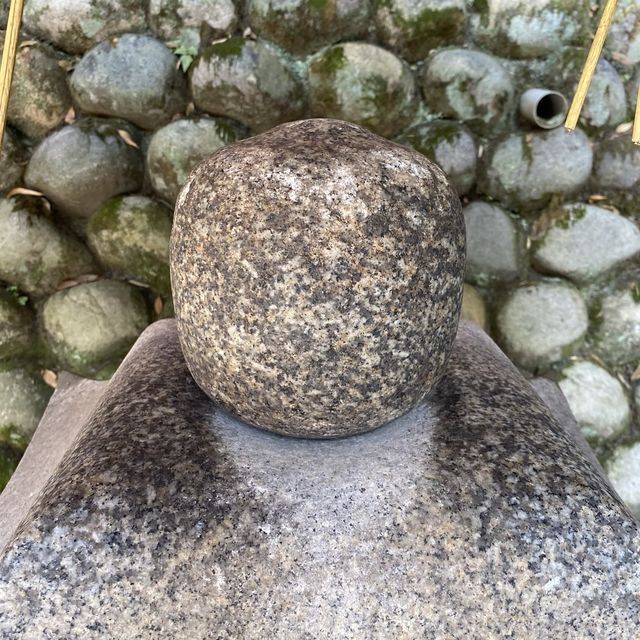 京都伏見稲荷「千本鳥居」は人々を魅了してやまない人気のスポット