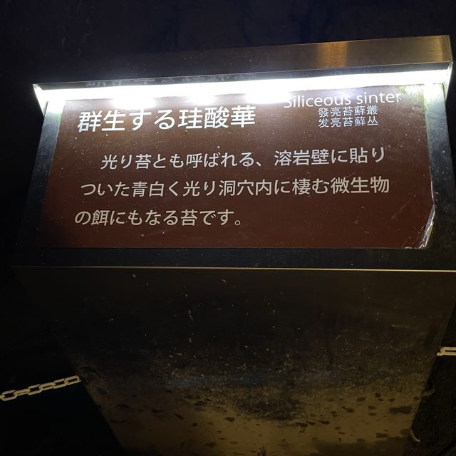 富岳風穴 WIND CAVE