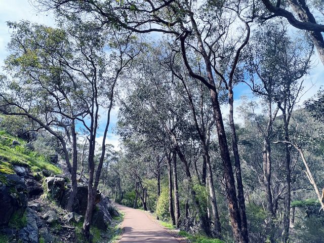 Serpentine Falls! 😎 Keep Running!💕🫣😁