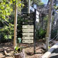 Lone Pine Sanctuary Queensland