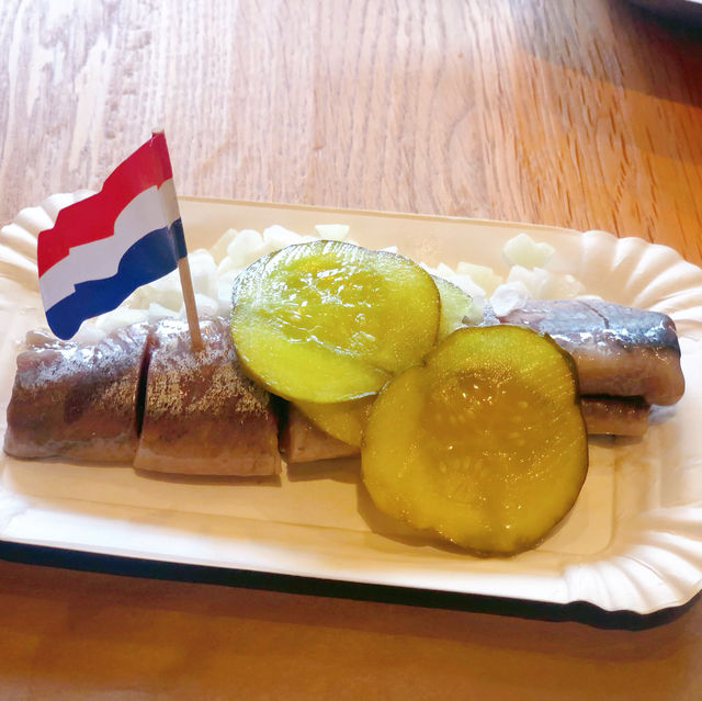 《🇳🇱沃倫丹北海小魚村》