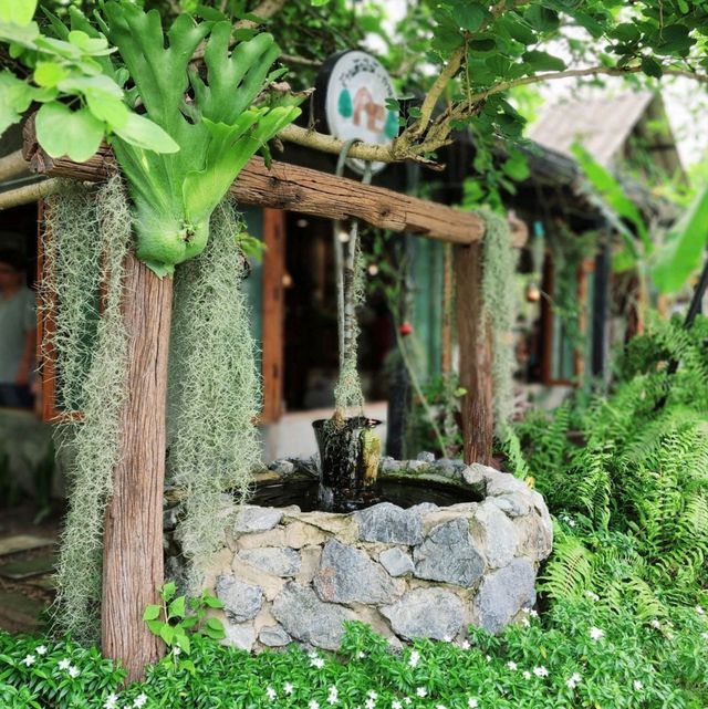 ร้านต้นไม้- กาแฟ