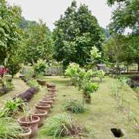 Exploring Penang's Fruit Wonderland!