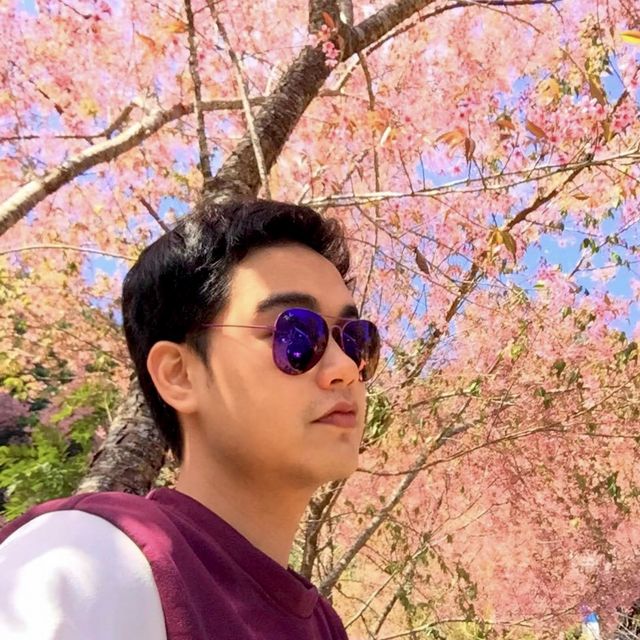 เที่ยวขุนช่างเคี่ยน  ชมนางพญาเสือโคร่ง