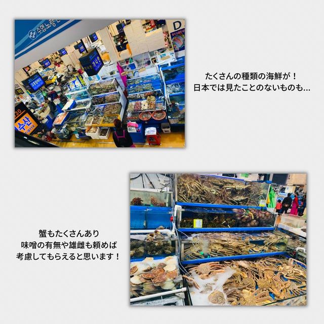 韓国旅行でおすすめ！ノリャンジン水産市場🐟