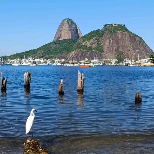 Rio de Janeiro Sugar Loaf mountain 