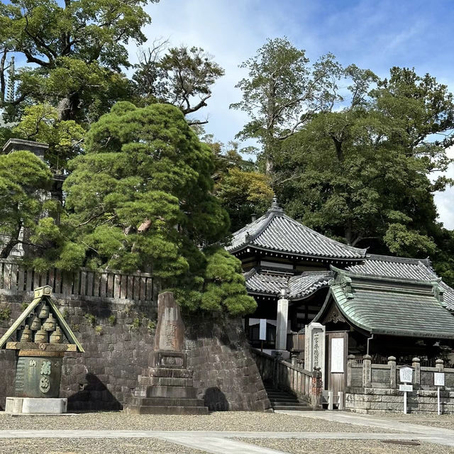 追尋自然與寧靜！成田山公園🌳🏞️🌸