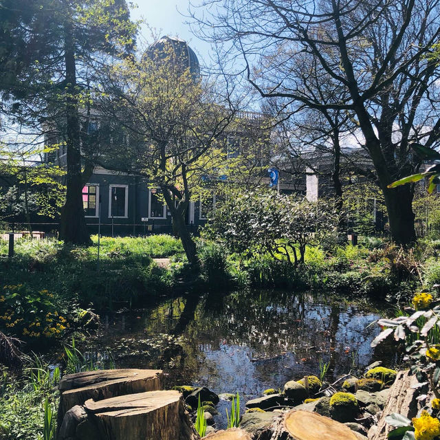 荷蘭🇳🇱萊頓植物園Hortus botanicus Leiden🌳💐戶外篇