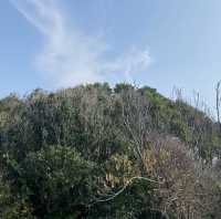 糸島市隱世神社「大門神窟神社」，感受神秘的洞窟魅力 