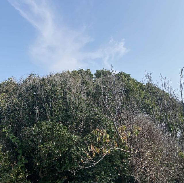 糸島市隱世神社「大門神窟神社」，感受神秘的洞窟魅力 