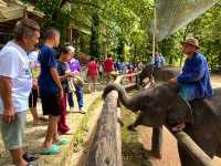 ชมน้องช้าง ที่ศูนย์อนุรักษ์ช้างไทย ลำปาง