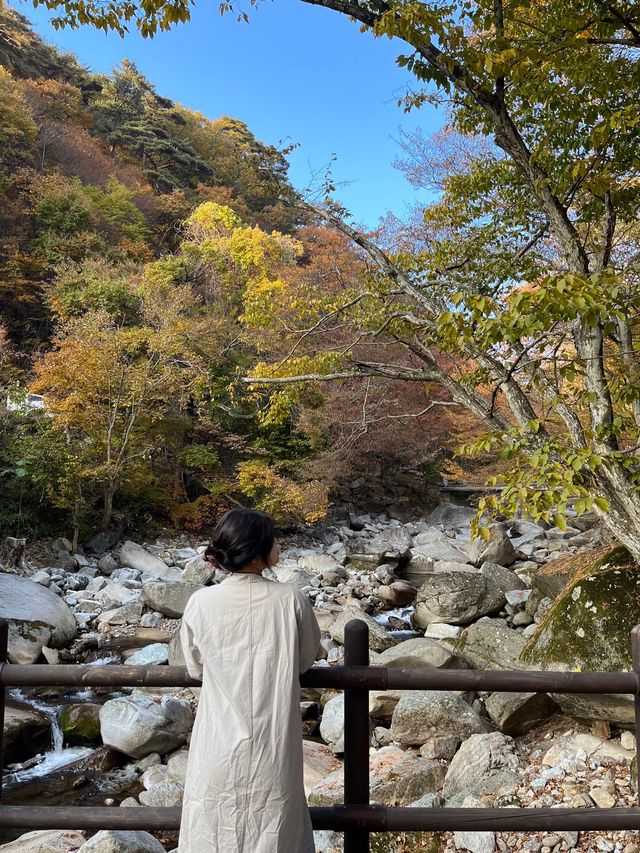 단풍 절정인 국내여행지