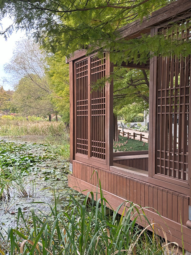 전주 단풍명소로 유명한 가을에 꼭 방문해야할 전주수목원 