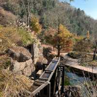 Hwadam Forest: The Backyard We All Want! 
