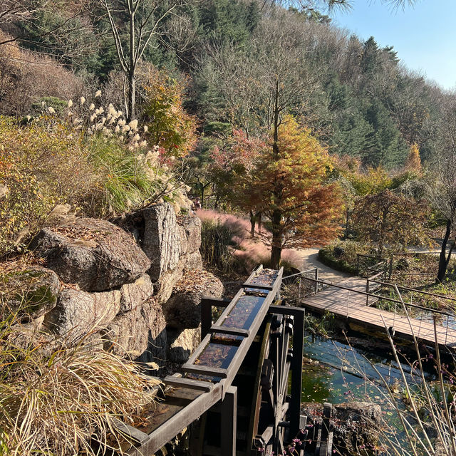 Hwadam Forest: The Backyard We All Want! 