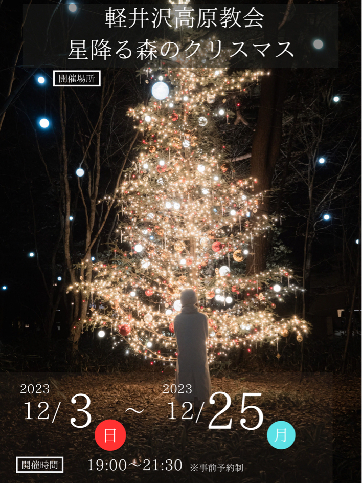 クリスマスにオススメ！✨】軽井沢高原教会の星降る森の