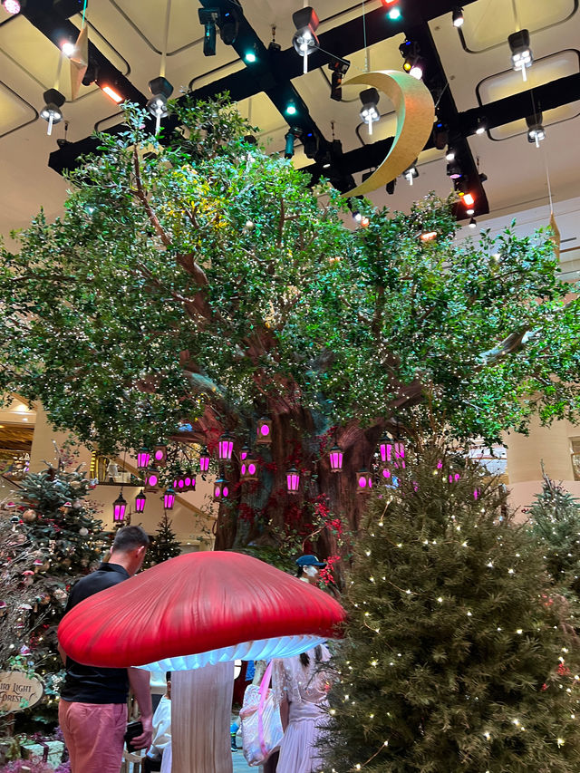 太古廣場😝全港最令聖誕🎄打卡位😳夢幻森林