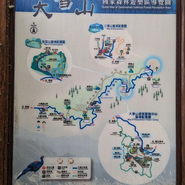 大雪山國家森林遊樂區的美好享受