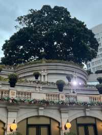 打卡聖誕的香港1881