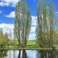 Family Trip to Hobbiton Movie Set