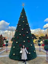크리스마스 분위기 정원이 있는 김포 대형카페🎄💕