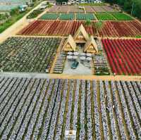 Hokkaido Flower Park Khaoyai
