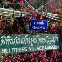 Must visit That Doi Pui & Hmong Doi Pui Villa