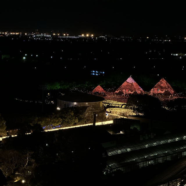 Fairytale Illumination at Nabana