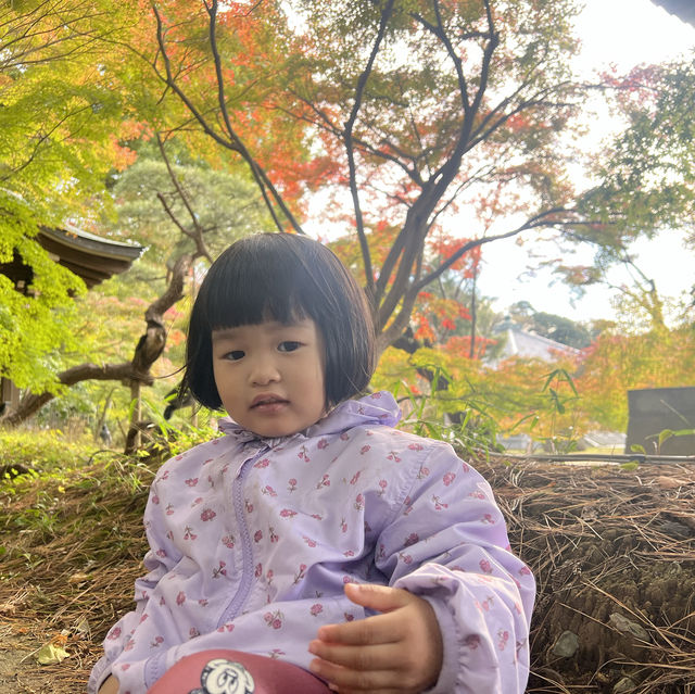 ฤดูกาลใบไม้เปลี่ยนสี🍁