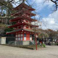 Chùa Chureito Yamanashi
