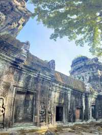 Ta Prohm Temple_in Tomb Rider Movie