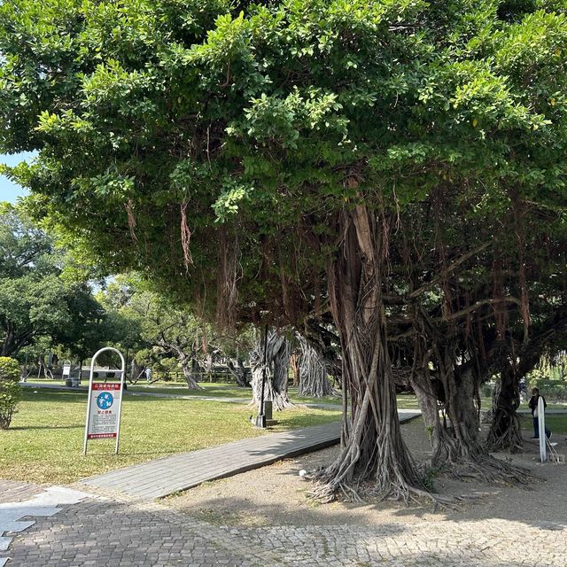 쉼과 여유가 있는 곳, 타이중 공원🍃