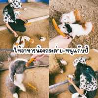 #แลนด์มาร์คระยอง #ที่เที่ยวระยอง #ปางช้างระยอง
