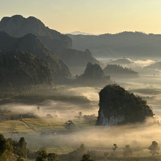 Phulangka Le Balcony (ภูลังกา เลอ บัลโคนี)  ⛰️⛅️☕️