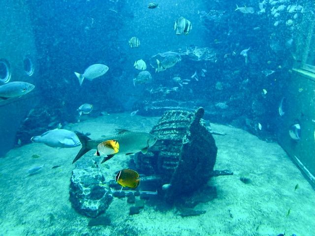 An aquarium in Hakone