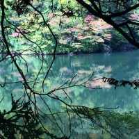 ชมมรดกโลกทางธรรมชาติที่ Lake Juniko