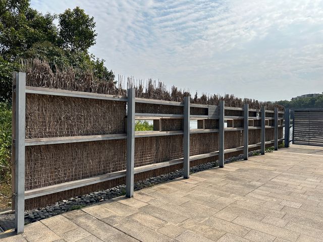 香港好去處 | 香港濕地公園 | 一月賞紅葉 | 二月賞李花