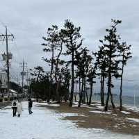경포해변, 겨울바다의 매력 속으로❄️