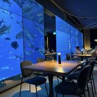 新加坡夢幻海底餐廳「Ocean Restaurant 」🐠