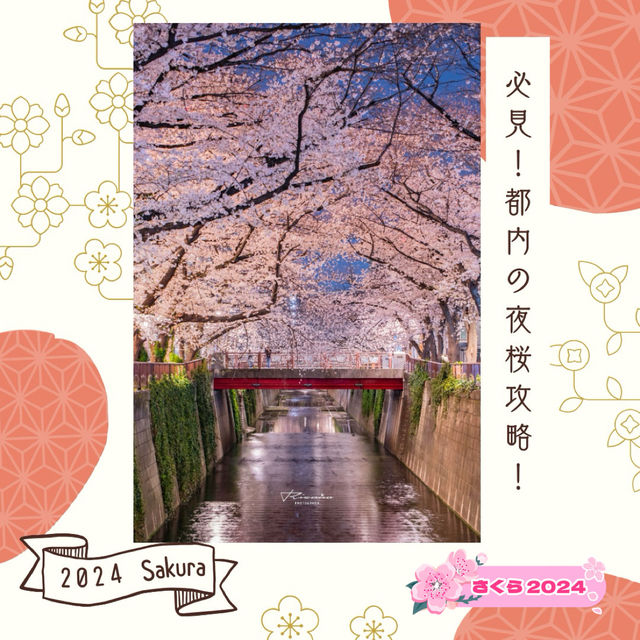 🌸必見！都内の夜桜攻略！🌸