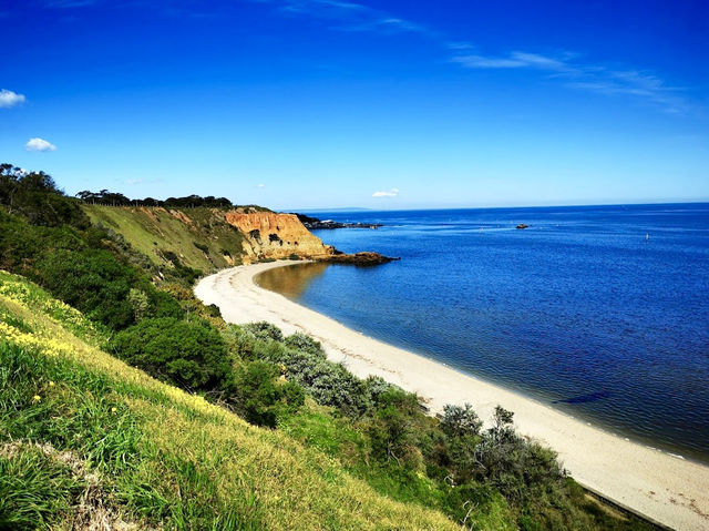 Edward Street Beach