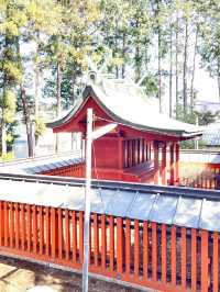 【仙波日枝神社/埼玉県】赤坂の日枝神社の本社