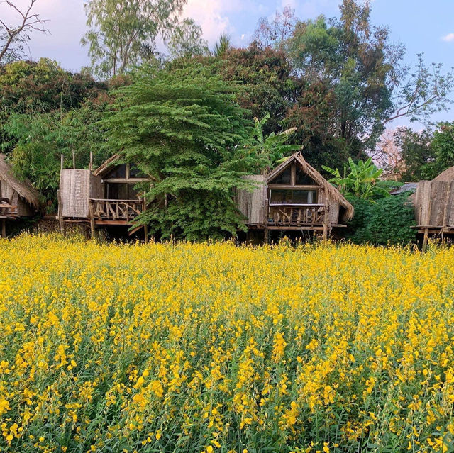 บ้านสวน อ.ศิลป์ชัยฟาร์มโฮสเตย์
