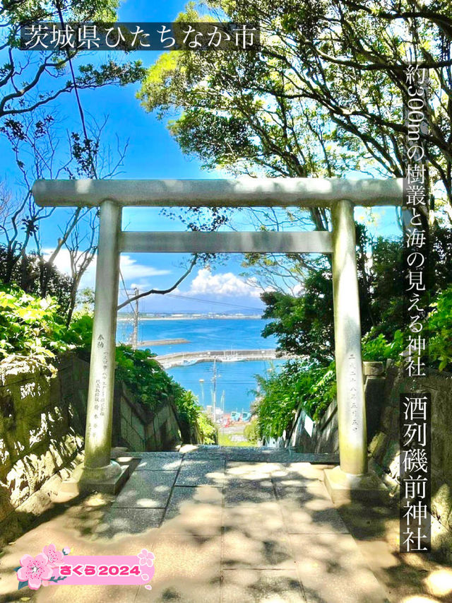 【酒列磯前神社/茨城県】約300mの樹叢と海の見える神社