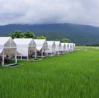 คาเฟ่วิวทุ่งนาเขียวบรรยากาศดีมาก ชัยภูมิ